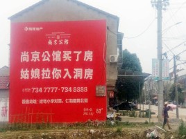 新化墙体广告在乡镇、农村市场的媒体优势