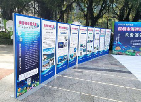 新化KT板的种类和知识。